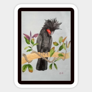 Australian Palm Cockatoo painting Sticker